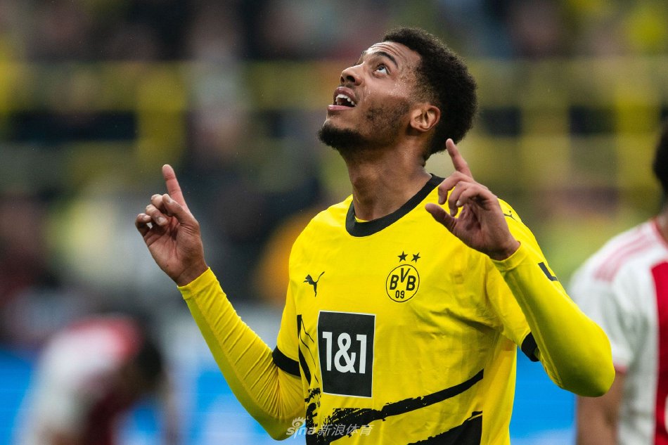 出一个结论 出一个结论